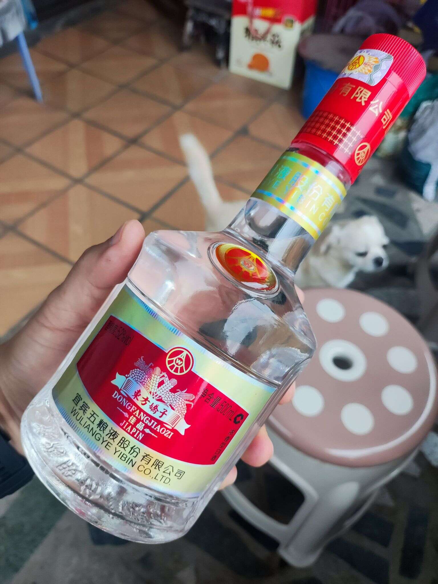 五粮液 东方娇子 20240430 182944